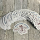 Logo Small Business Full Color Printed Vinyl Stickers